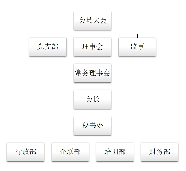 組織架構圖.jpg